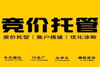 成功案例：SEM推广助力企业拓展海外市场